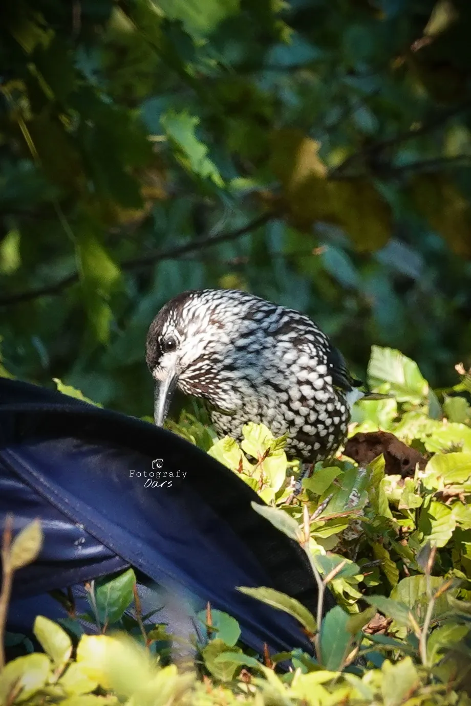 Afbeelding bij bericht van Maa🌱ke Overberg