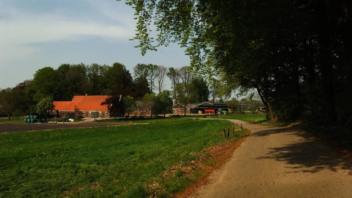 Afbeelding bij bericht van The City Sites Sites