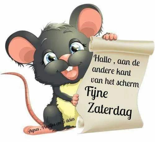 Afbeelding bij bericht van Co Loeffen