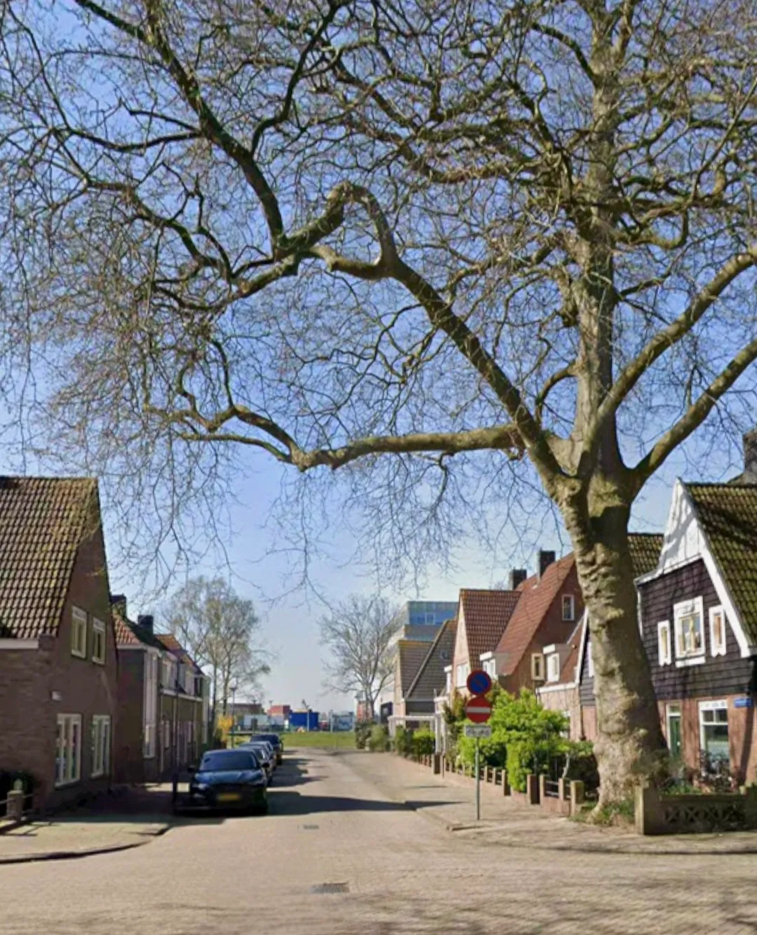 Afbeelding bij bericht van Wilma Van van Velzen