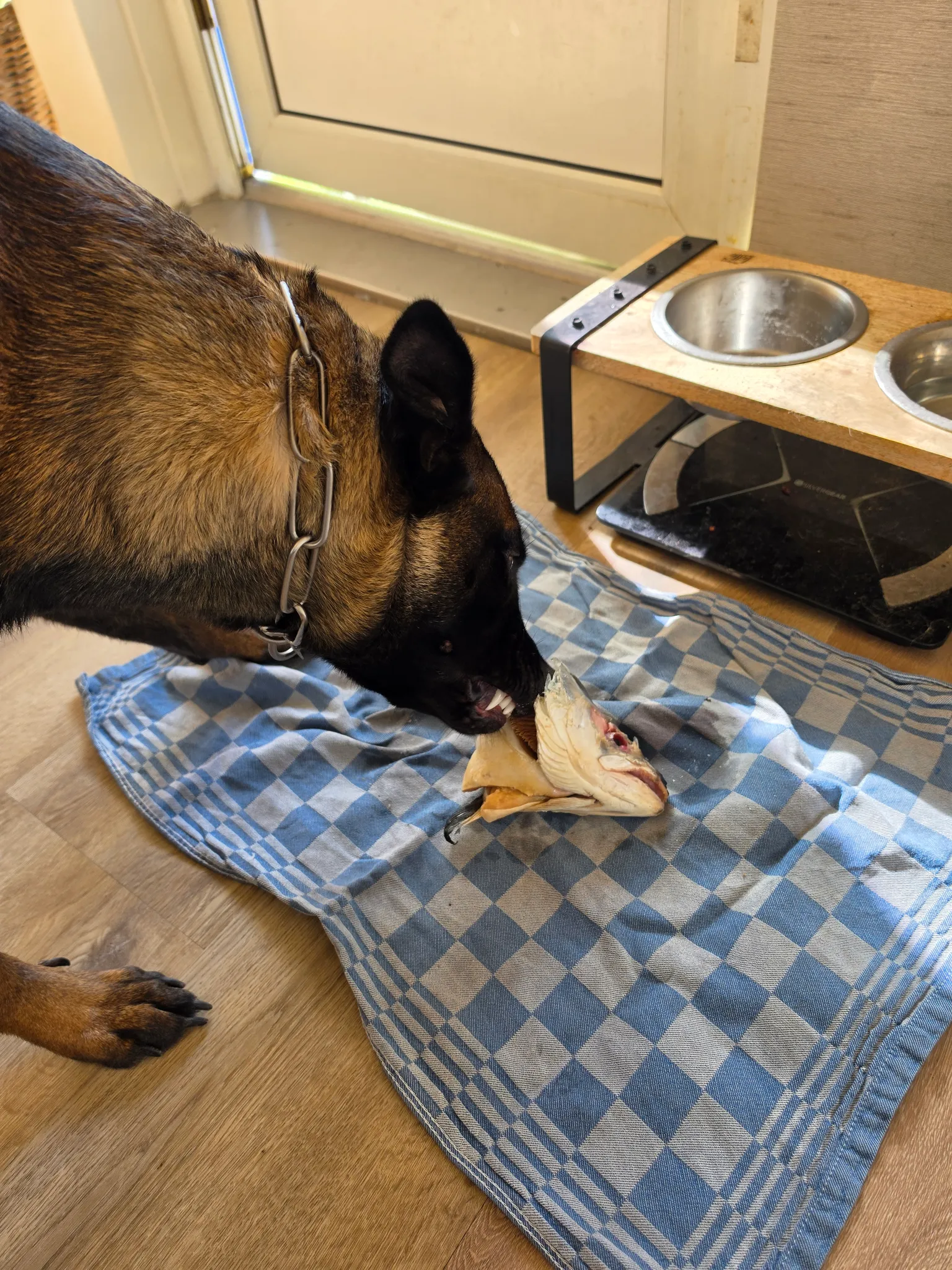 Afbeelding bij bericht van Roxy Rol