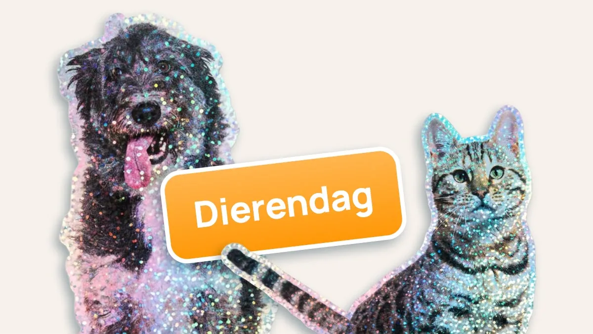 Afbeelding bij bericht van Hyves Hyve