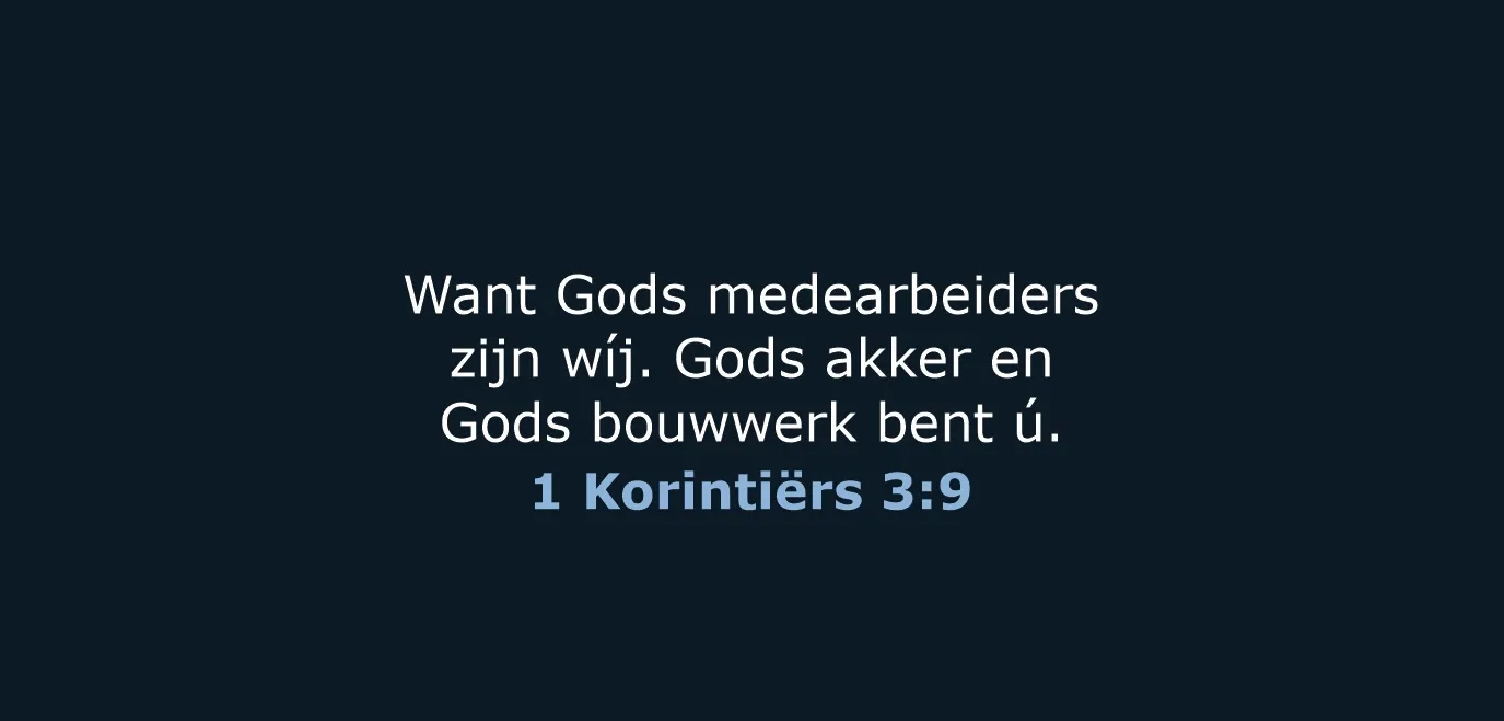 Afbeelding bij bericht van Rody J