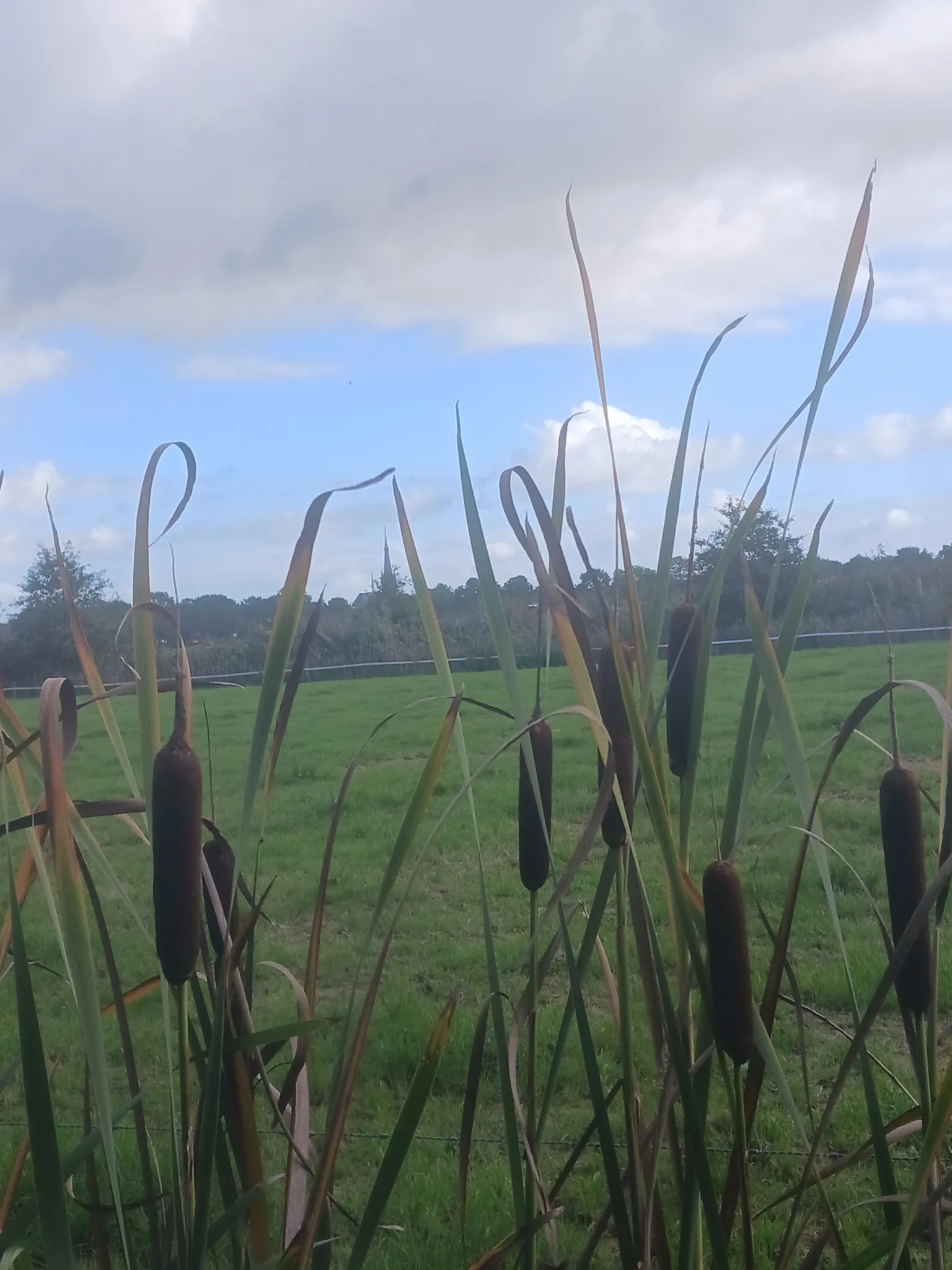 Afbeelding bij bericht van Hilde Boeren