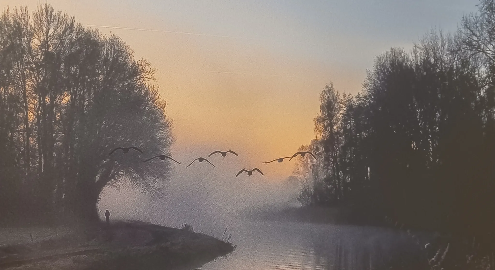 Afbeelding bij bericht van Hilde Boeren