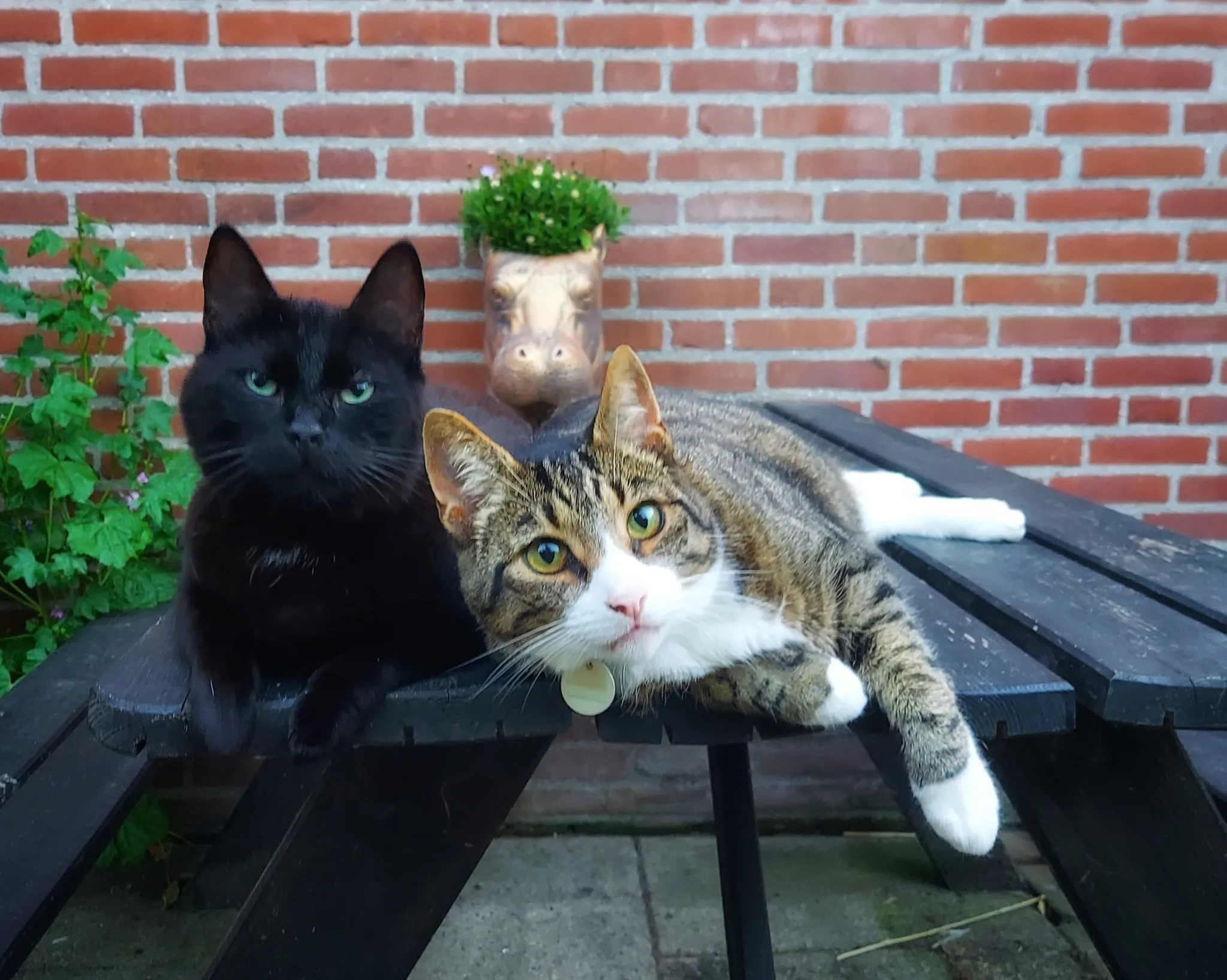 Afbeelding bij bericht van Ciska Pieterson