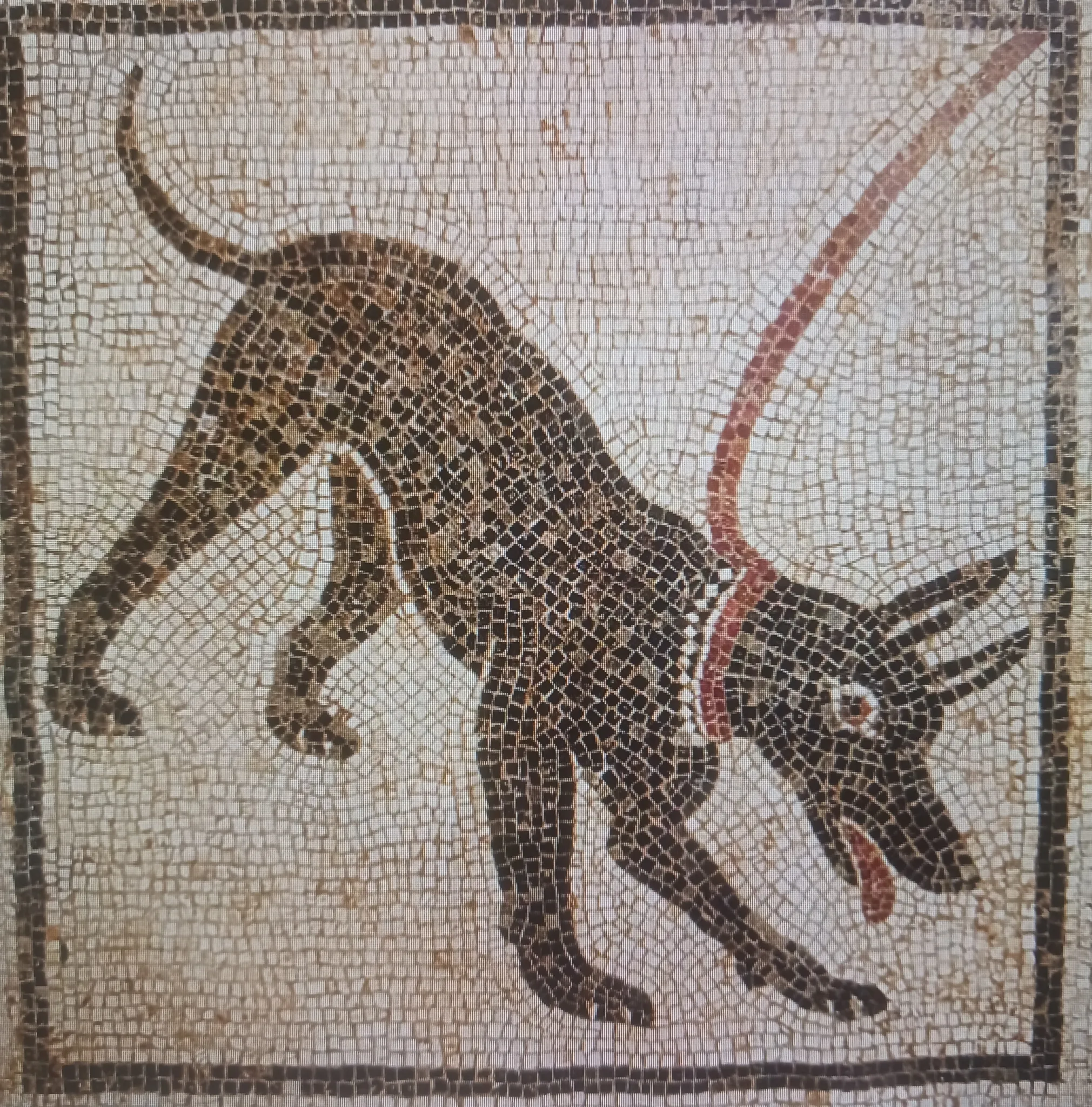 Afbeelding bij bericht van Hilde Boeren