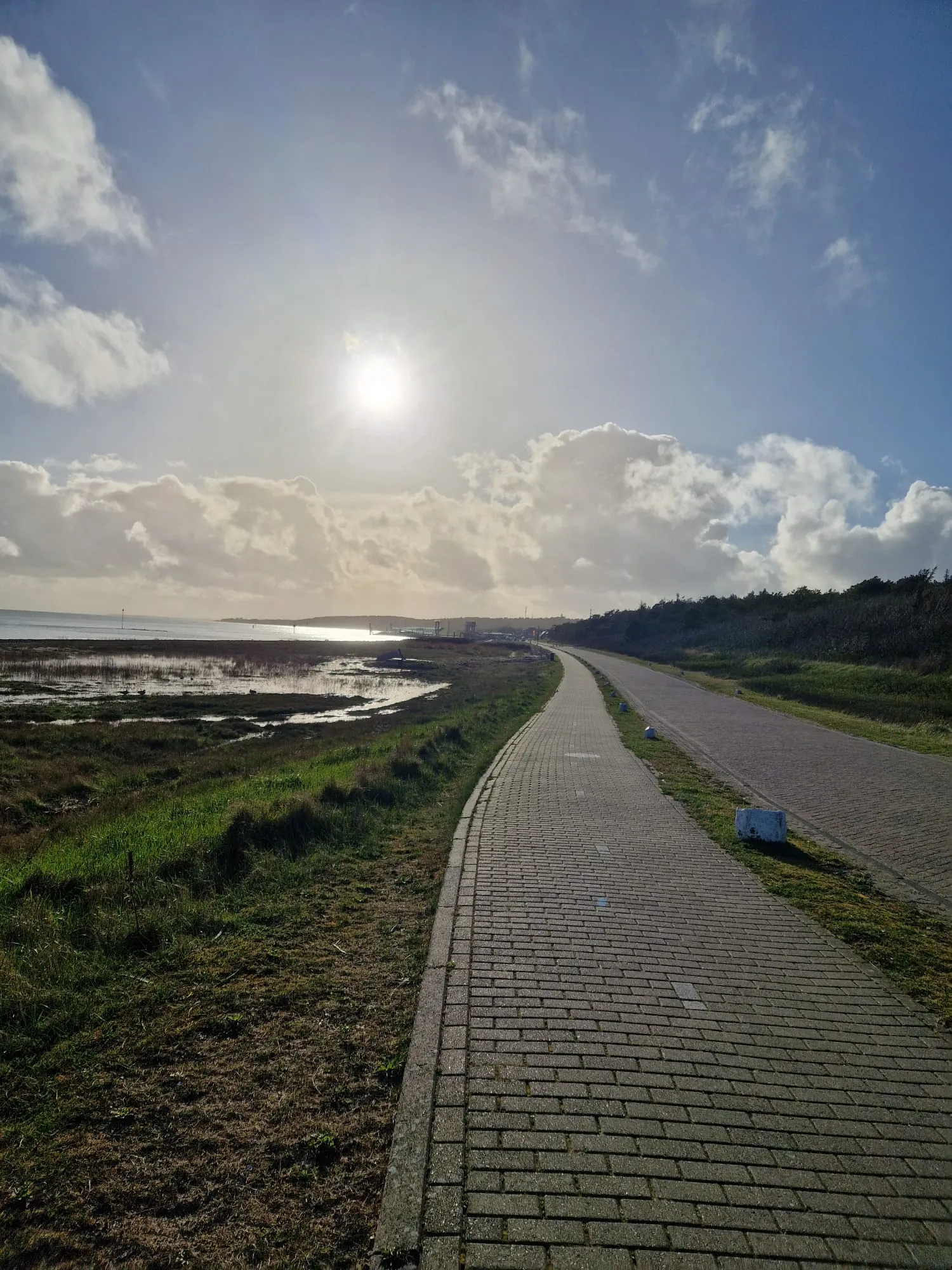 Afbeelding bij bericht van Sabine Kuperus