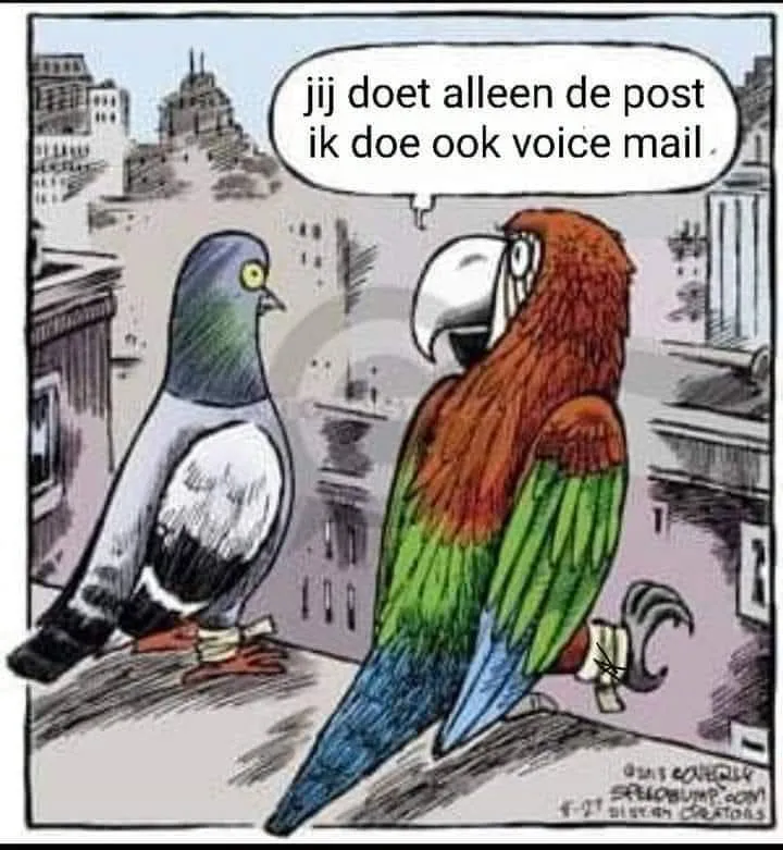 Afbeelding bij bericht van Connie Oosterhof