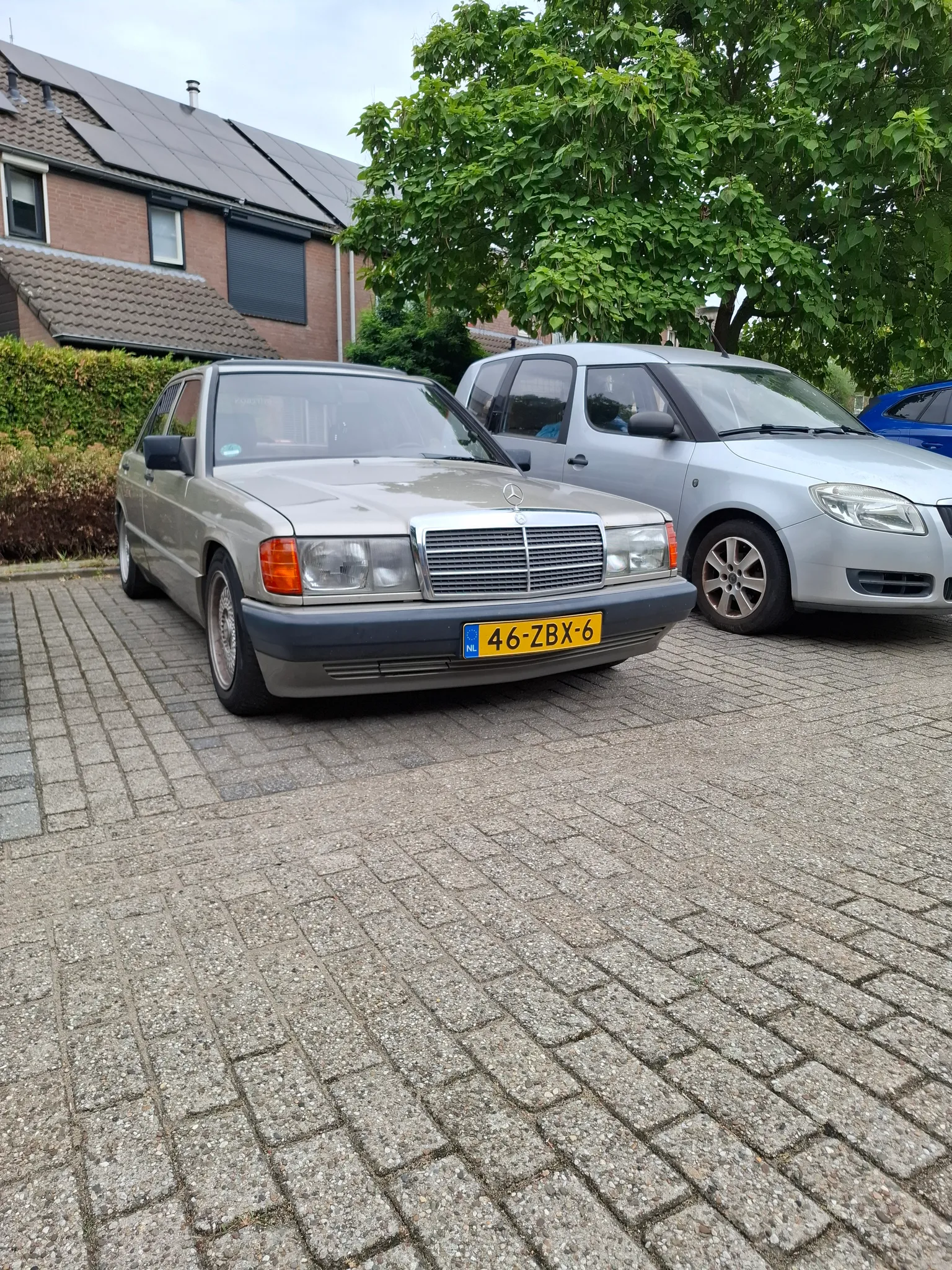 Afbeelding bij bericht van Nova Van Waesberghe