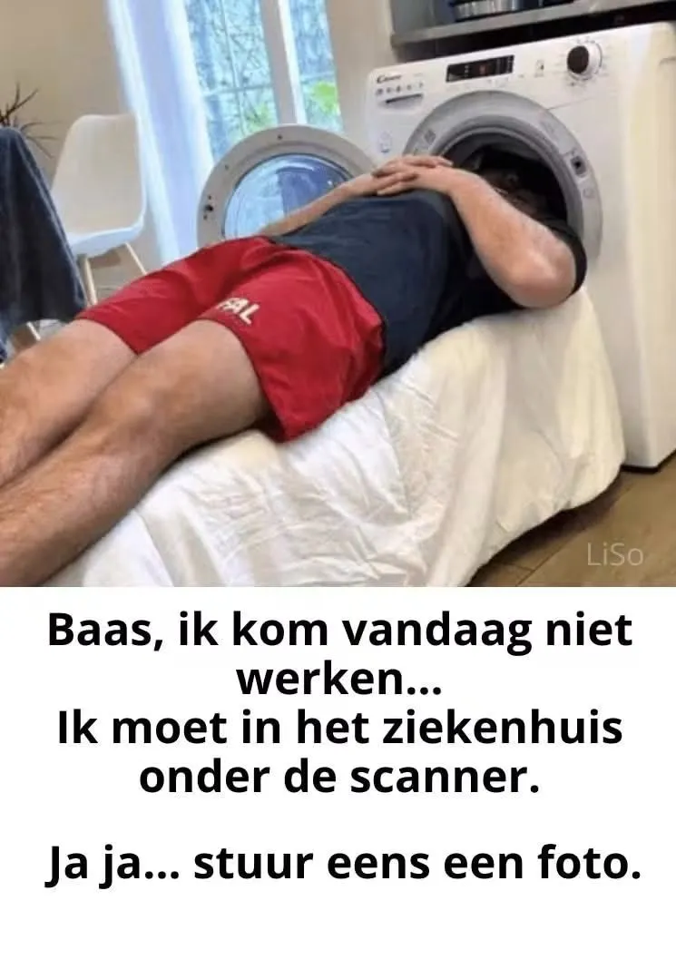 Afbeelding bij bericht van Mara Binner