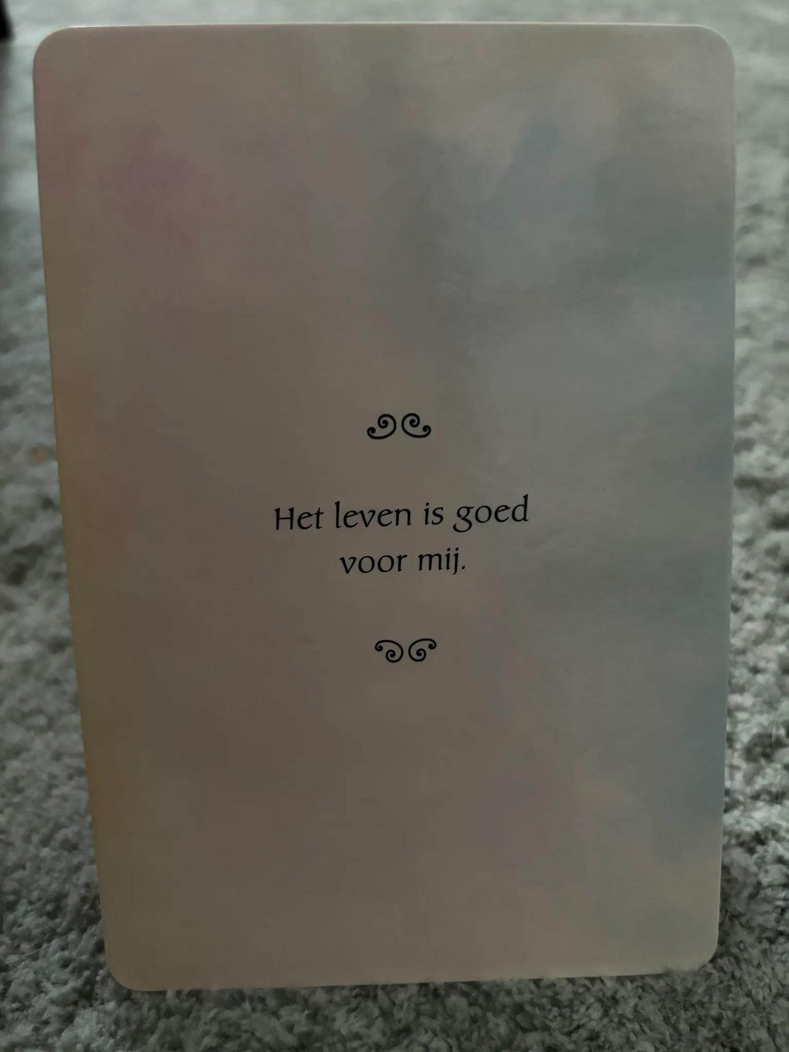 Afbeelding bij bericht van Selien - -