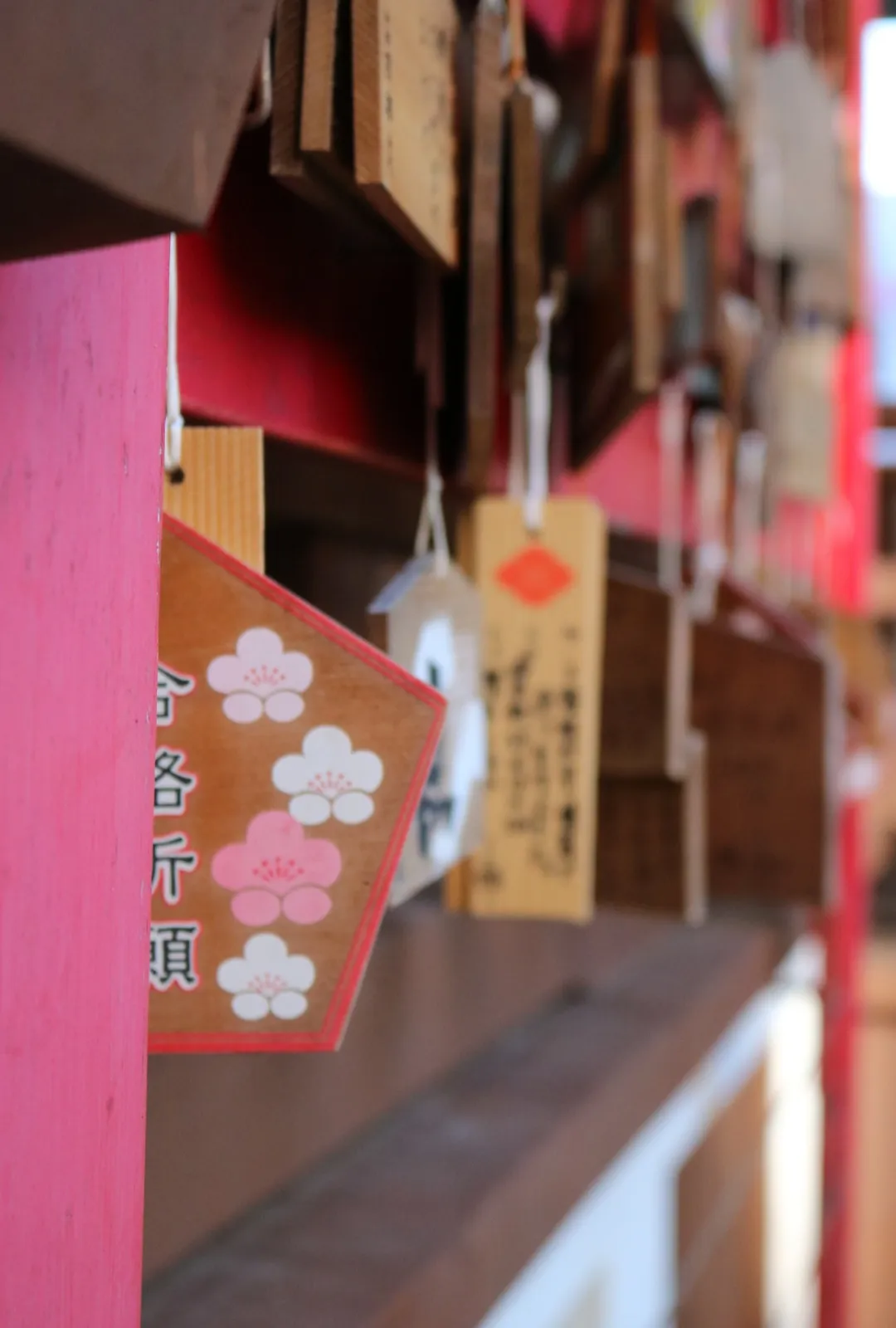 Afbeelding bij bericht van Ingrid - House of Sakura Houtkooper