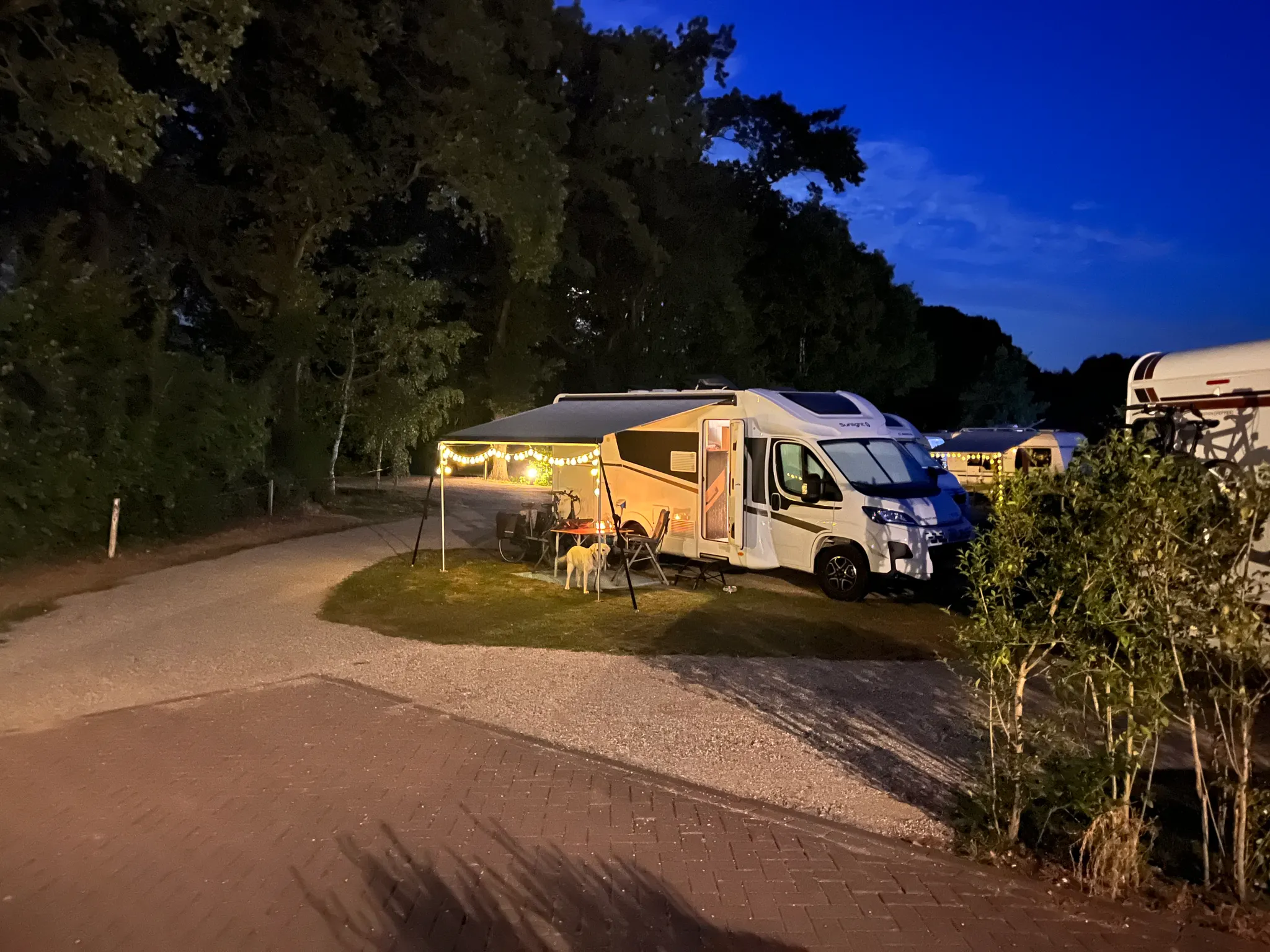 Afbeelding bij bericht van Hen Van