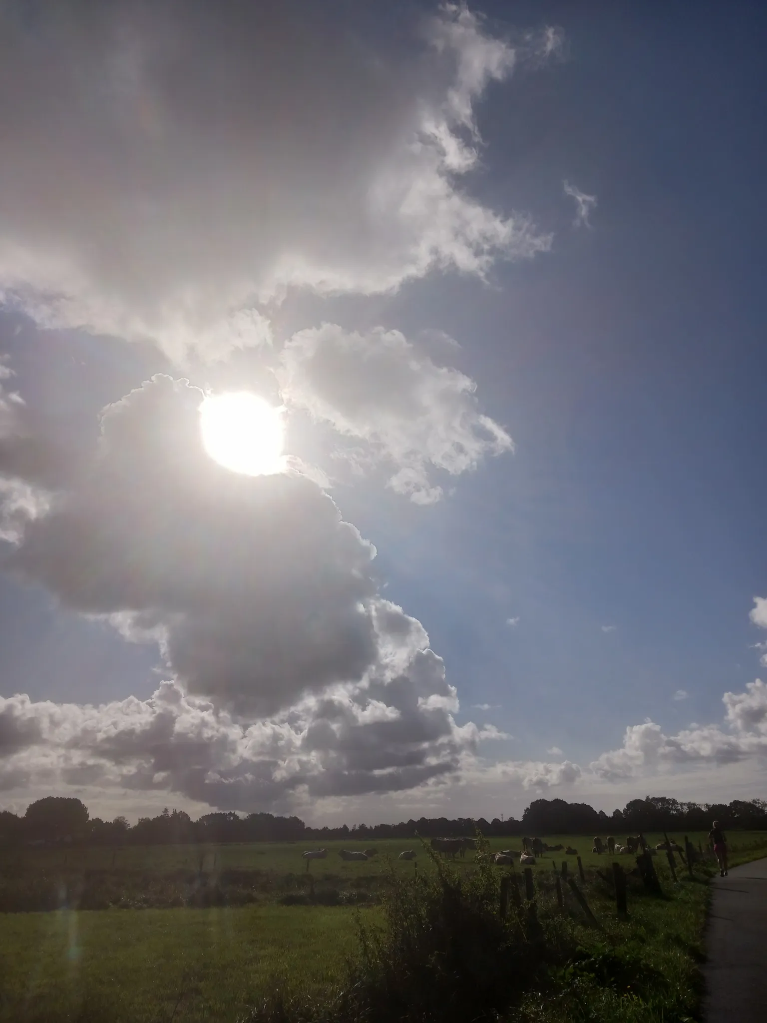 Afbeelding bij bericht van Hilde Boeren