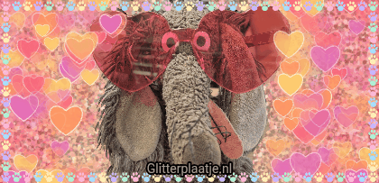 Afbeelding bij bericht van Joey Van der Mooren