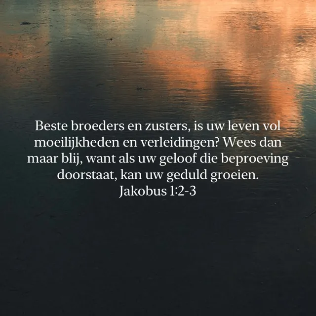 Afbeelding bij bericht van シ  Smittie De Smit