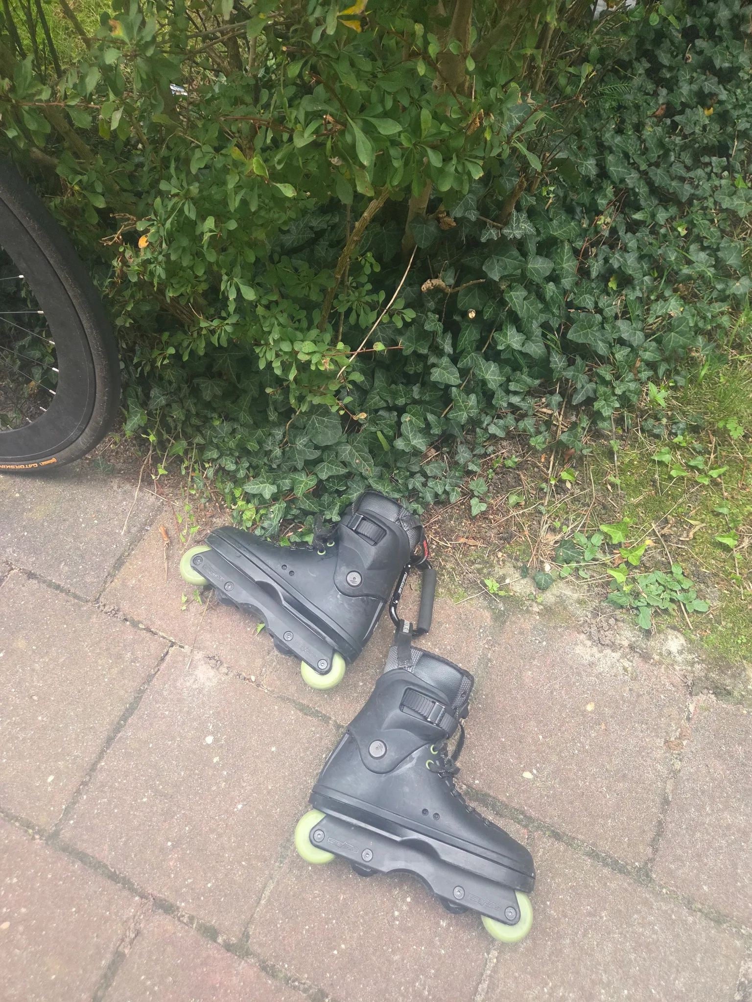 Afbeelding bij bericht van Remco Adema