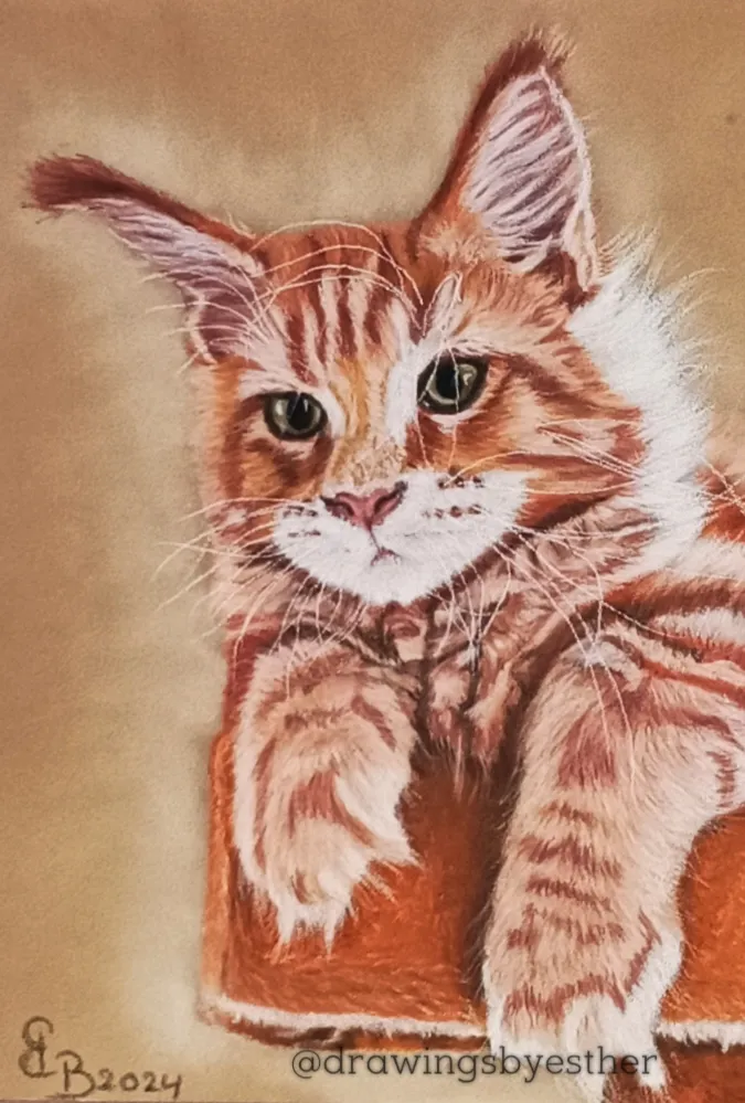 Afbeelding bij bericht van Drawingsbyesther HB