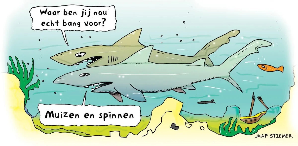 Afbeelding bij bericht van Jaap Stiemer