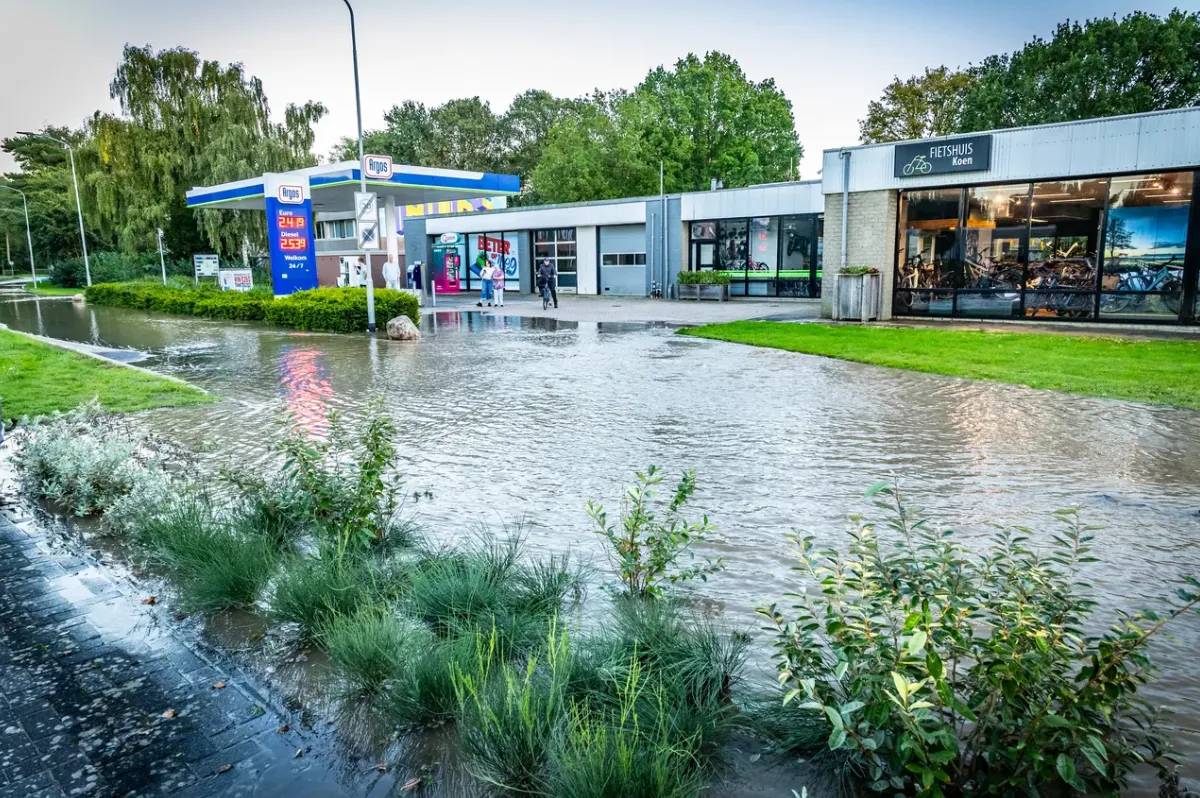 Afbeelding bij bericht van Erik Riensema