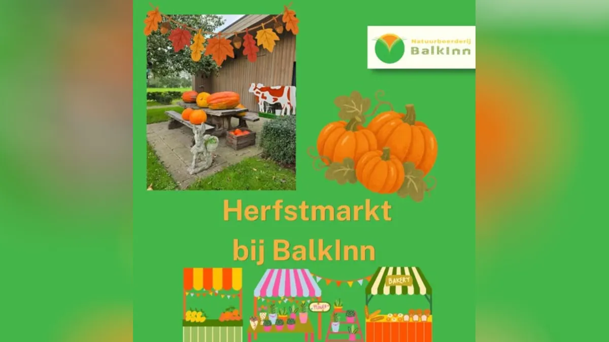 Afbeelding bij bericht van The City Sites Sites