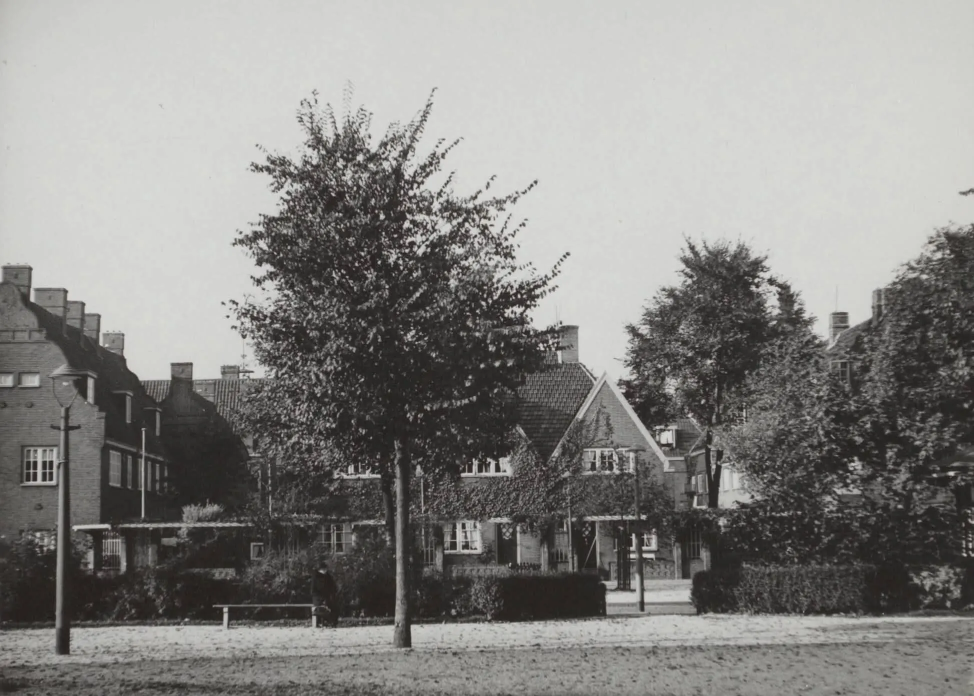 Afbeelding bij bericht van Wilma Van van Velzen