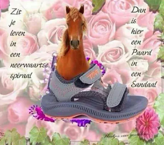 Afbeelding bij bericht van Robert Zomers