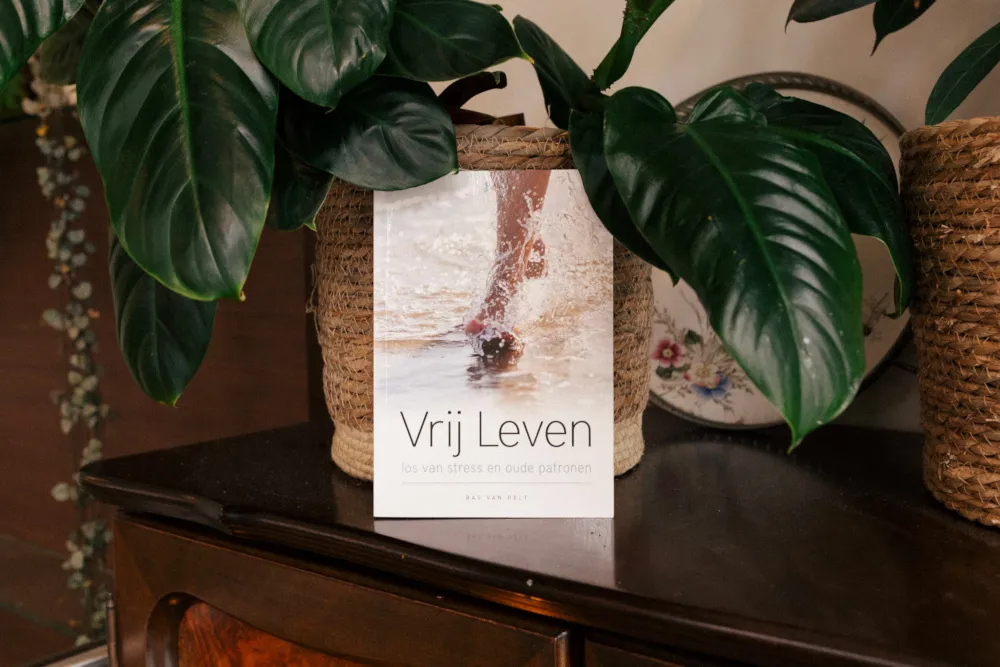 Afbeelding bij bericht van Bas Van Pelt