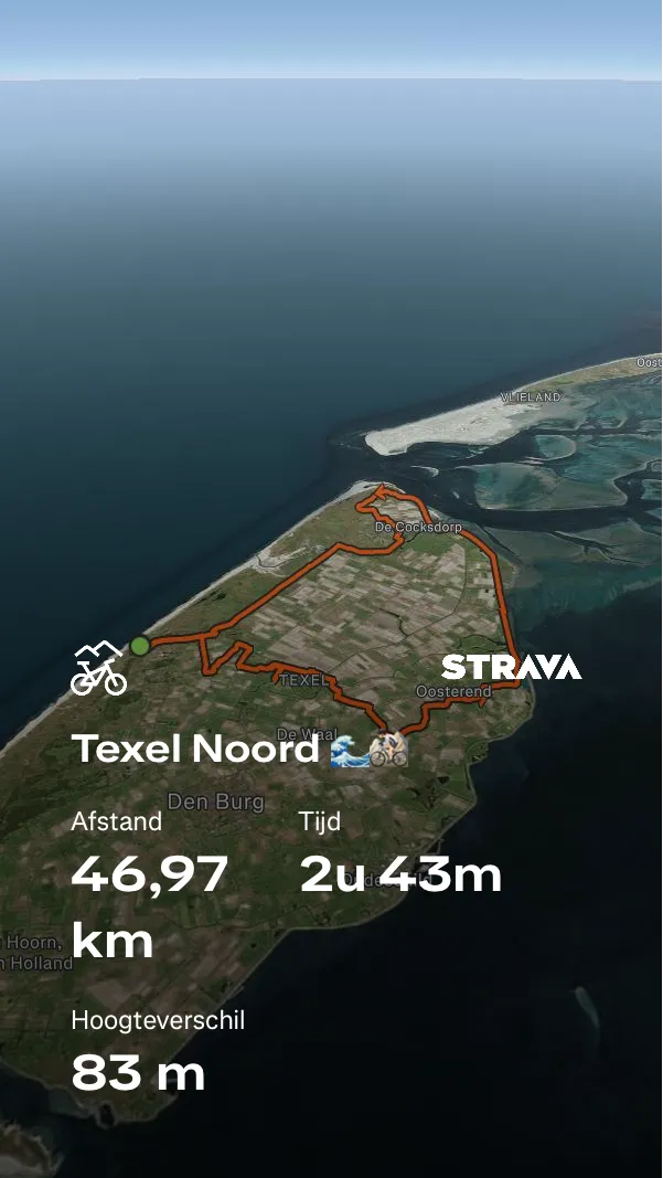 Afbeelding bij bericht van Iris Grevelink