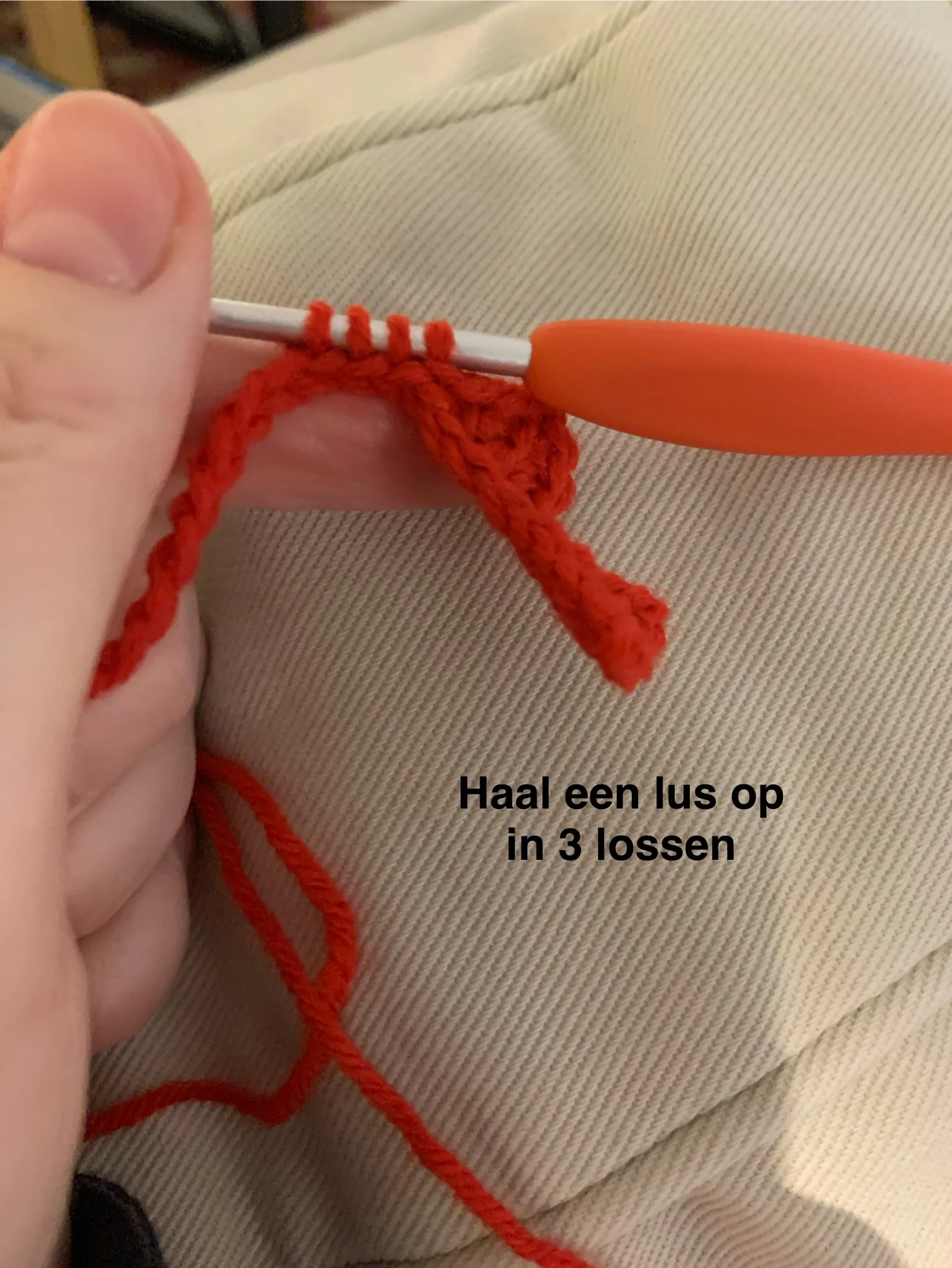 Afbeelding bij bericht van Tanja Steging