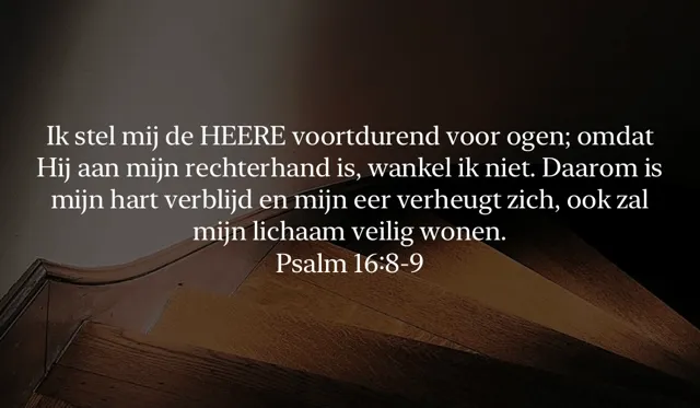 Afbeelding bij bericht van シ  Smittie De Smit