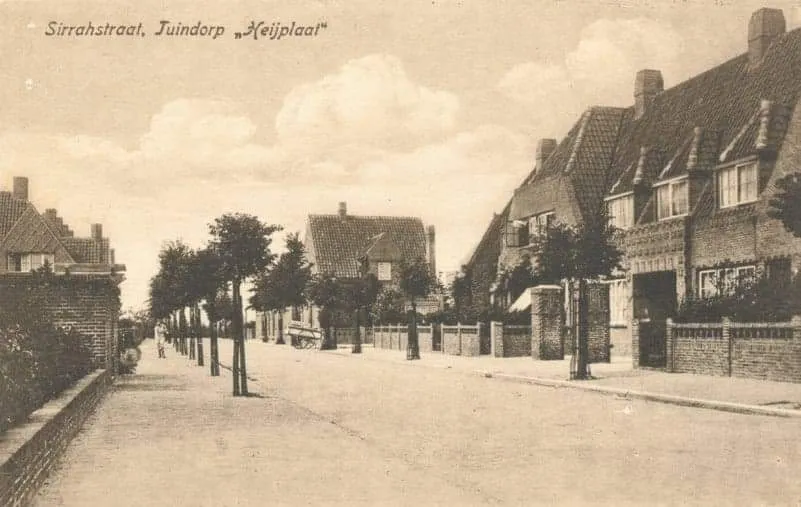 Afbeelding bij bericht van Wilma Van van Velzen