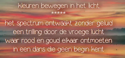 Afbeelding bij bericht van Christa Procee