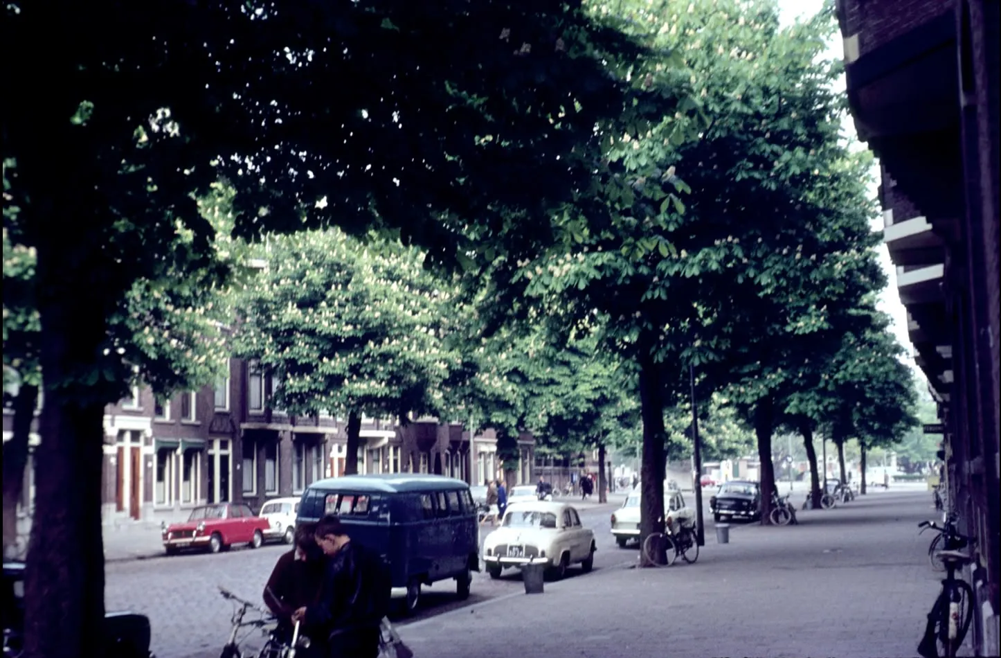 Afbeelding bij bericht van Guus Kentie