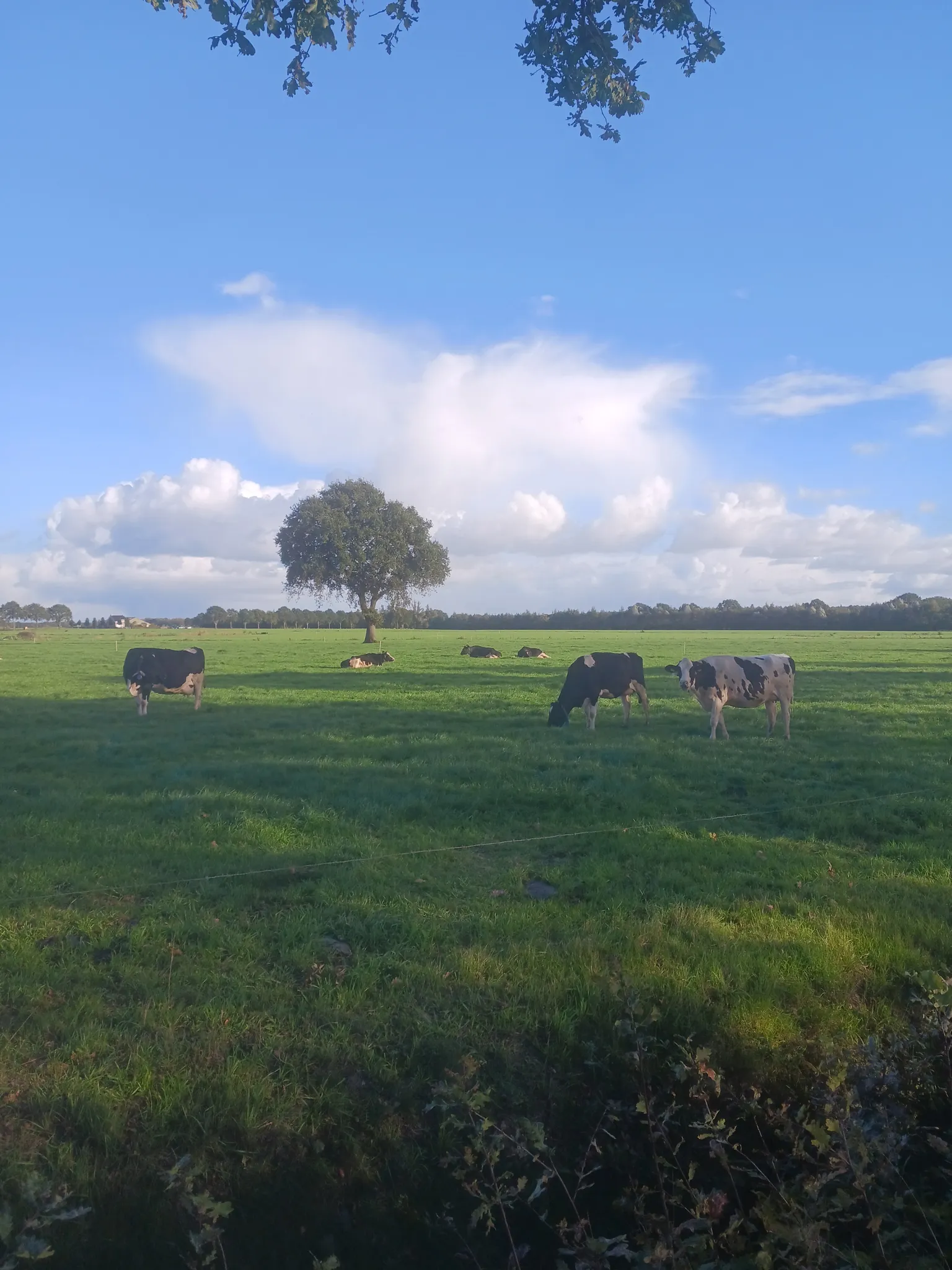 Afbeelding bij bericht van Hilde Boeren