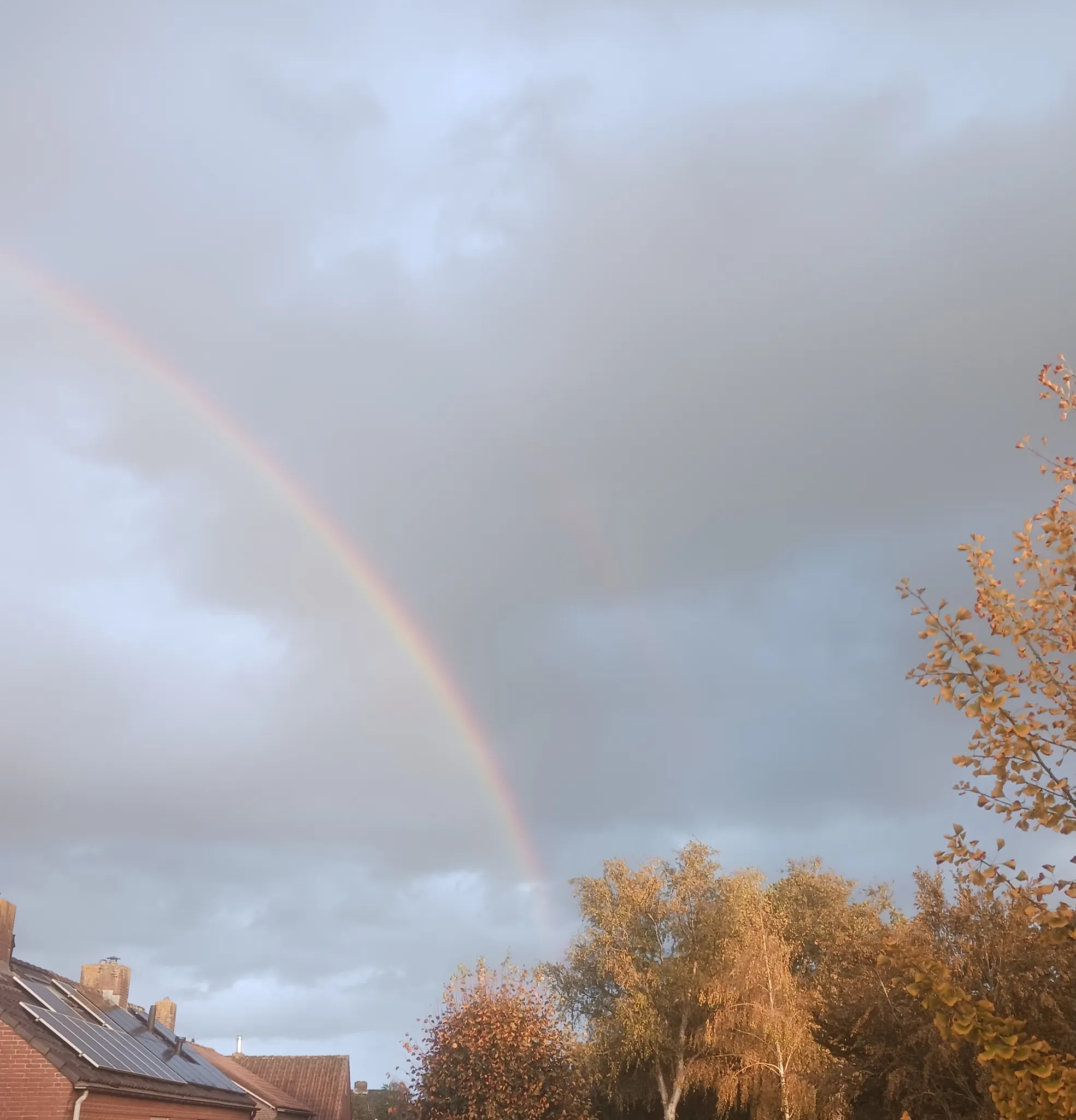Afbeelding bij bericht van Hilde Boeren