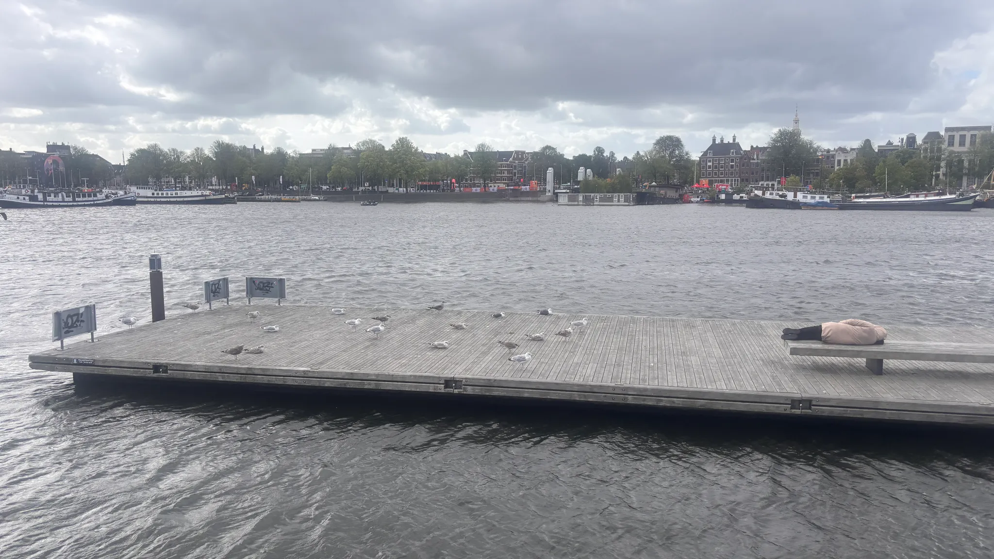 Afbeelding bij bericht van Masja Bijmans