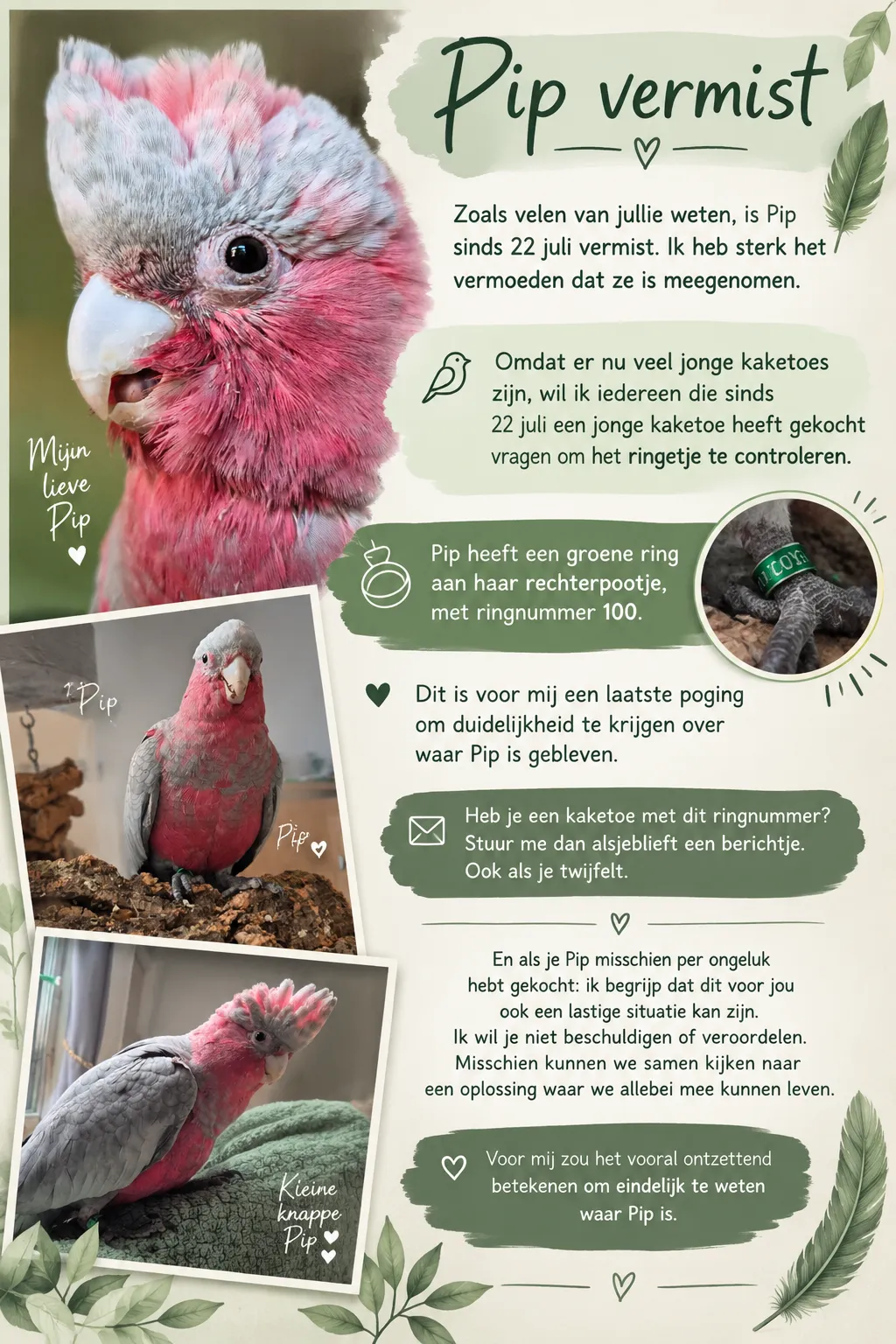 Afbeelding bij bericht van Eva Verhaar