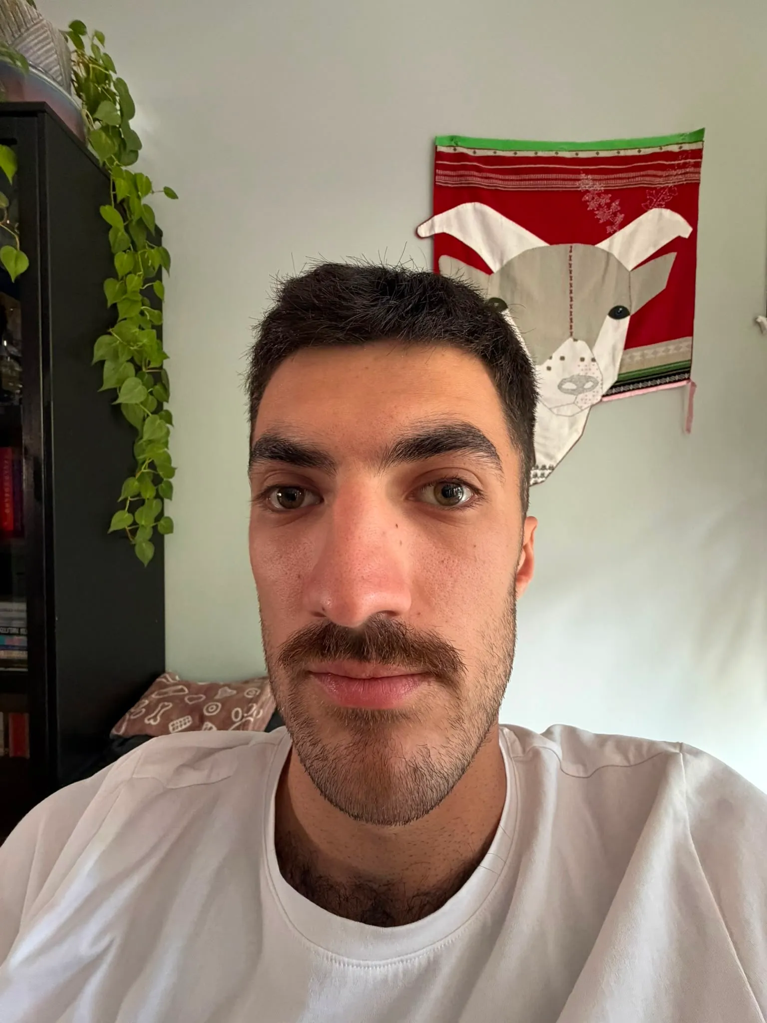 Afbeelding bij bericht van Daniel Eenkhoorn