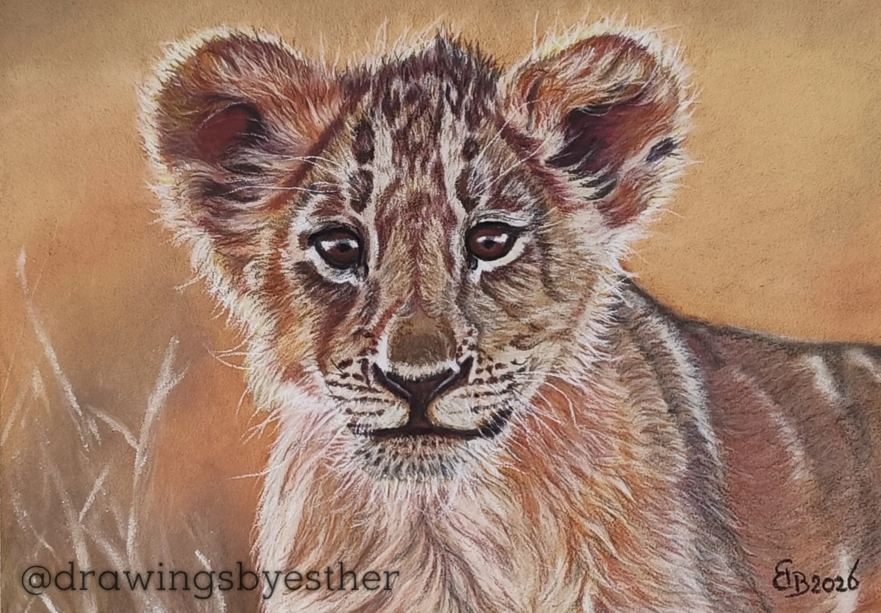 Afbeelding bij bericht van Drawingsbyesther HB