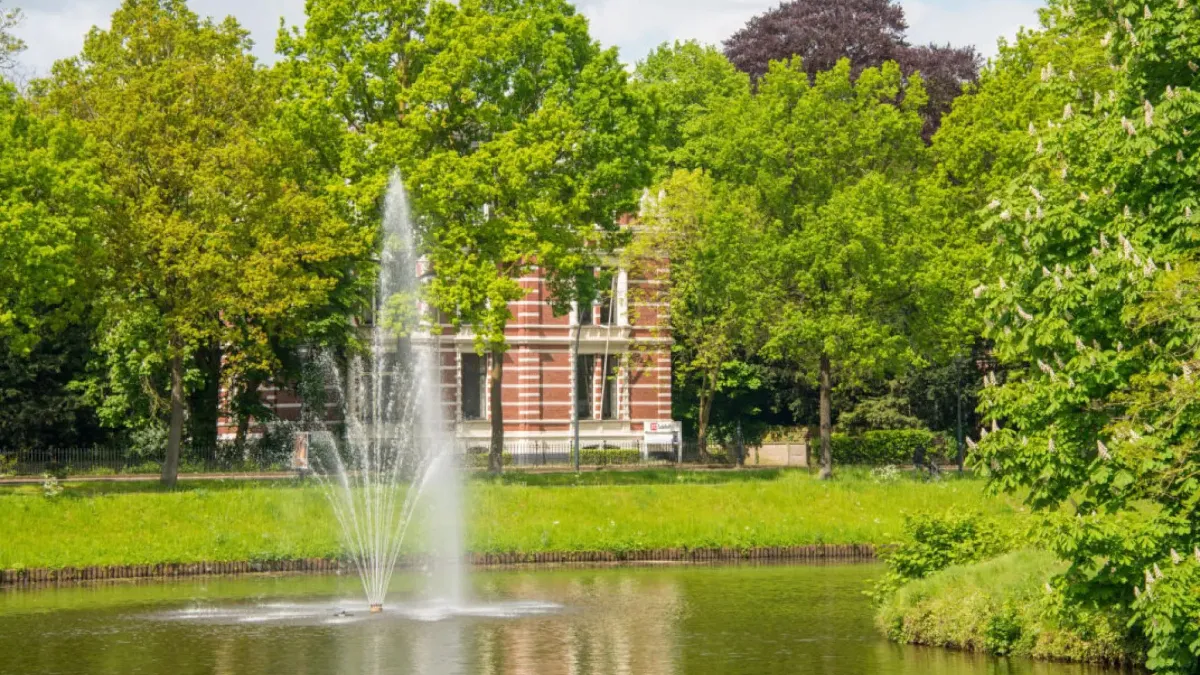 Afbeelding bij bericht van The City Sites Sites