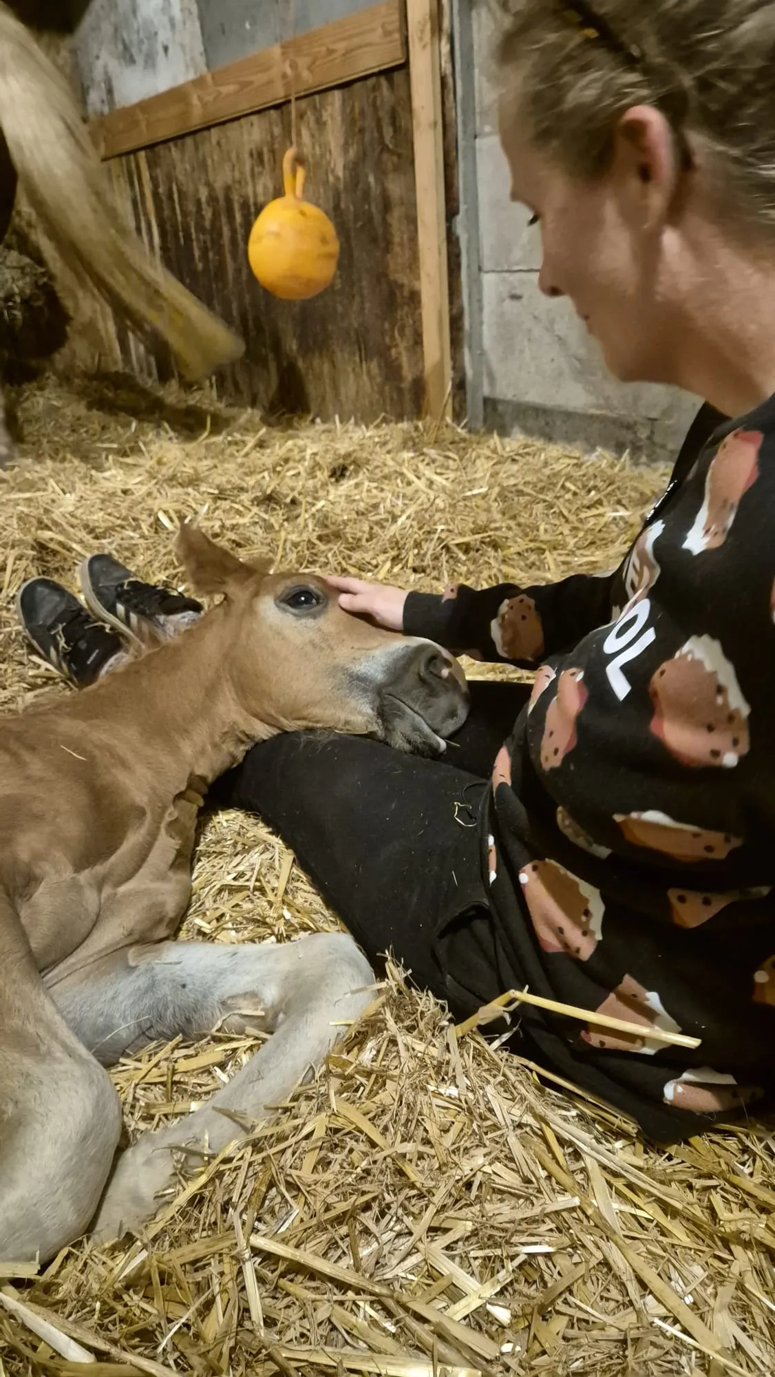 Afbeelding bij bericht van Lotte Kuijper Bovenschen