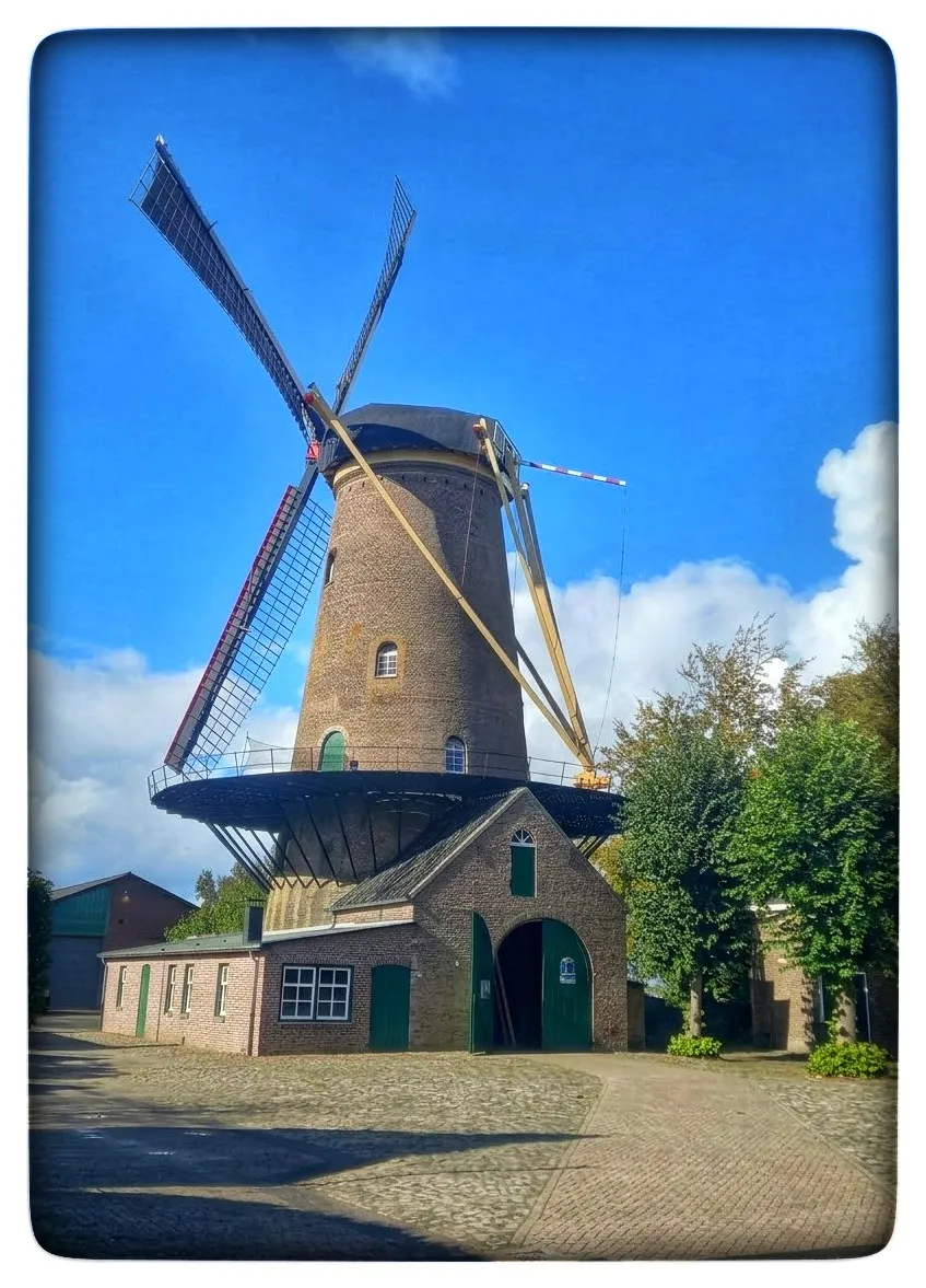 Afbeelding bij bericht van Allen ♻️ Allen van Rooten