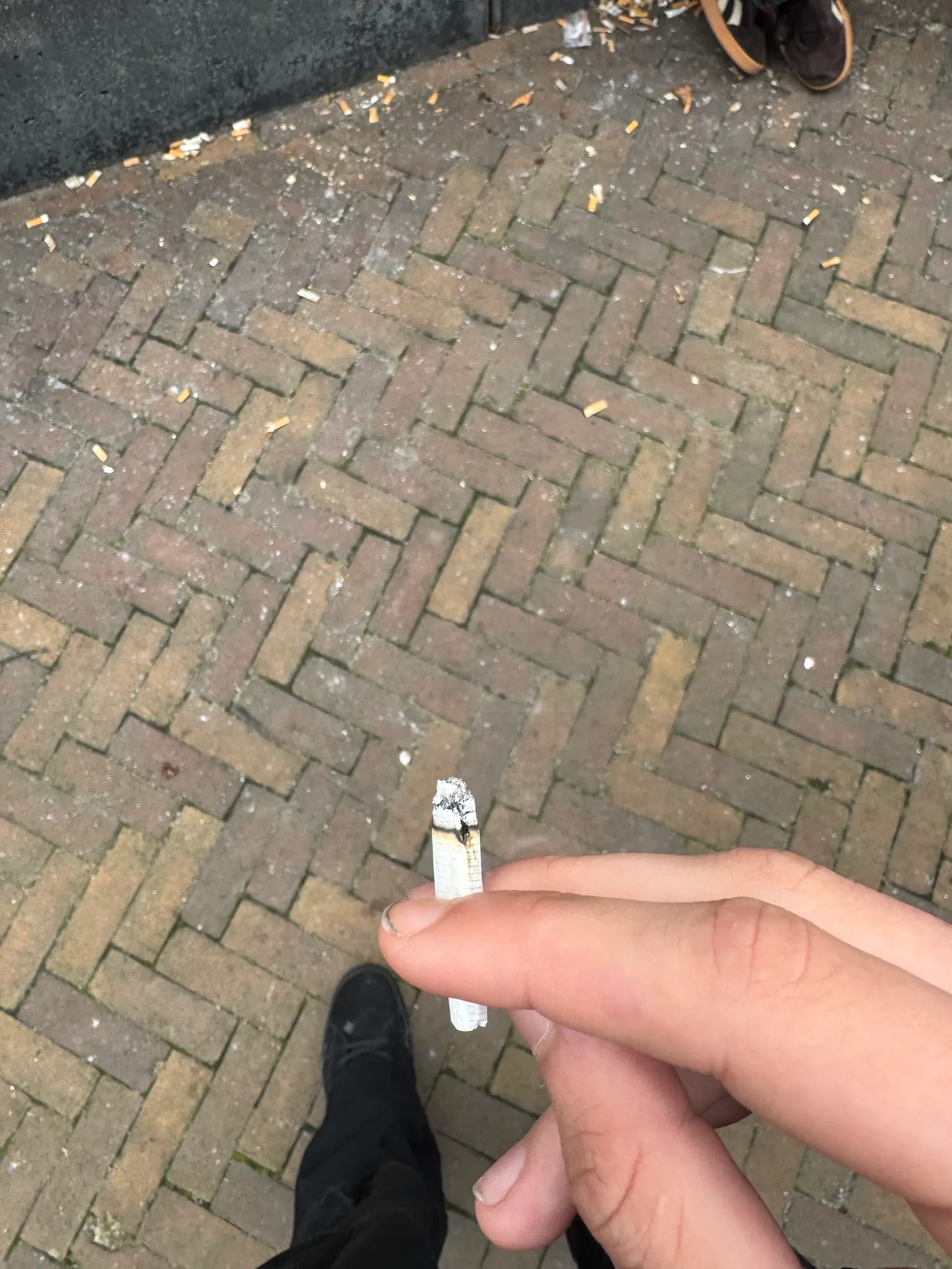 Afbeelding bij bericht van Jesper Ossel