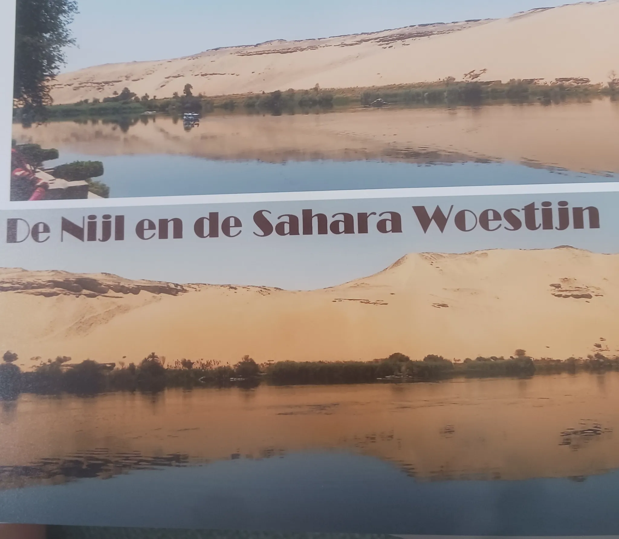 Afbeelding bij bericht van Hilde Boeren