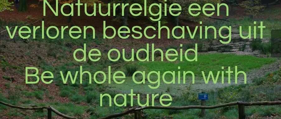 Afbeelding bij bericht van Just Jolanda