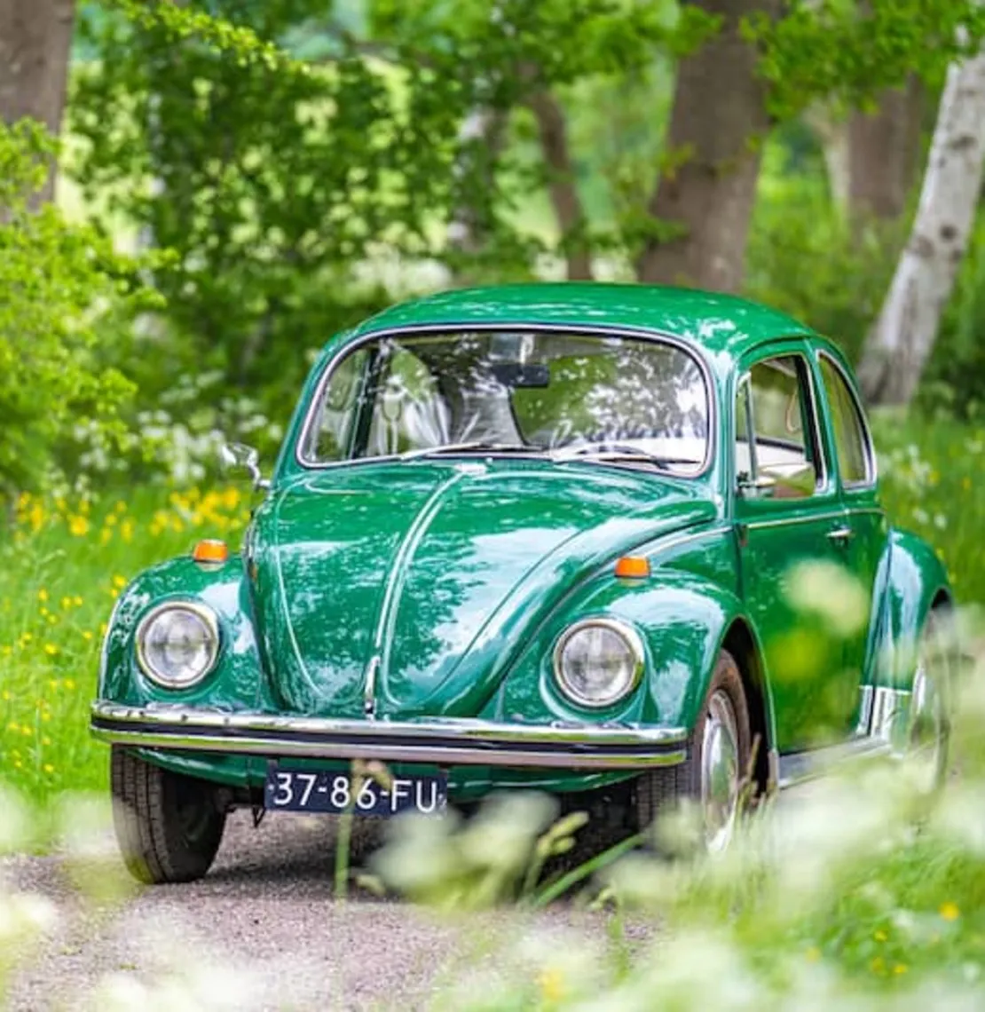 Afbeelding bij bericht van Allen ♻️ Allen van Rooten