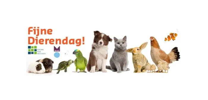 Afbeelding bij bericht van ludo 👀 Vanstraelen