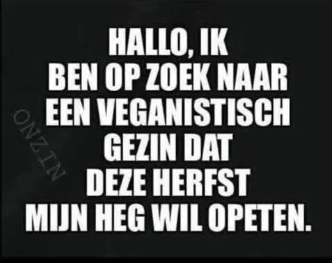 Afbeelding bij bericht van Connie Oosterhof